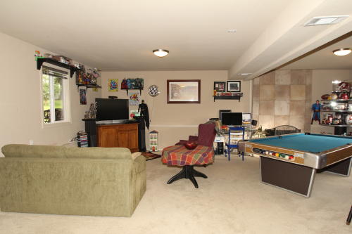 Lower level fireplace